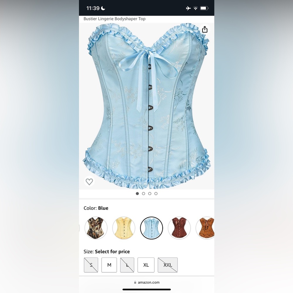 Blue Corset